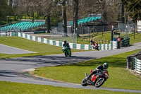 Lower Group Black Bikes